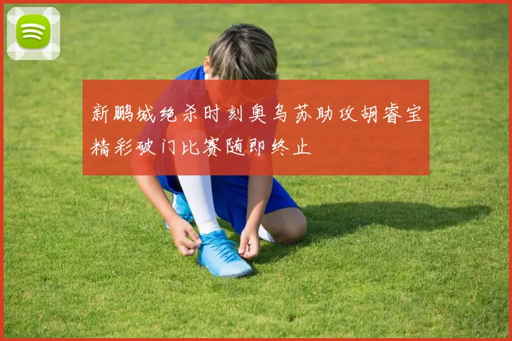 新鹏城绝杀时刻奥乌苏助攻胡睿宝精彩破门比赛随即终止